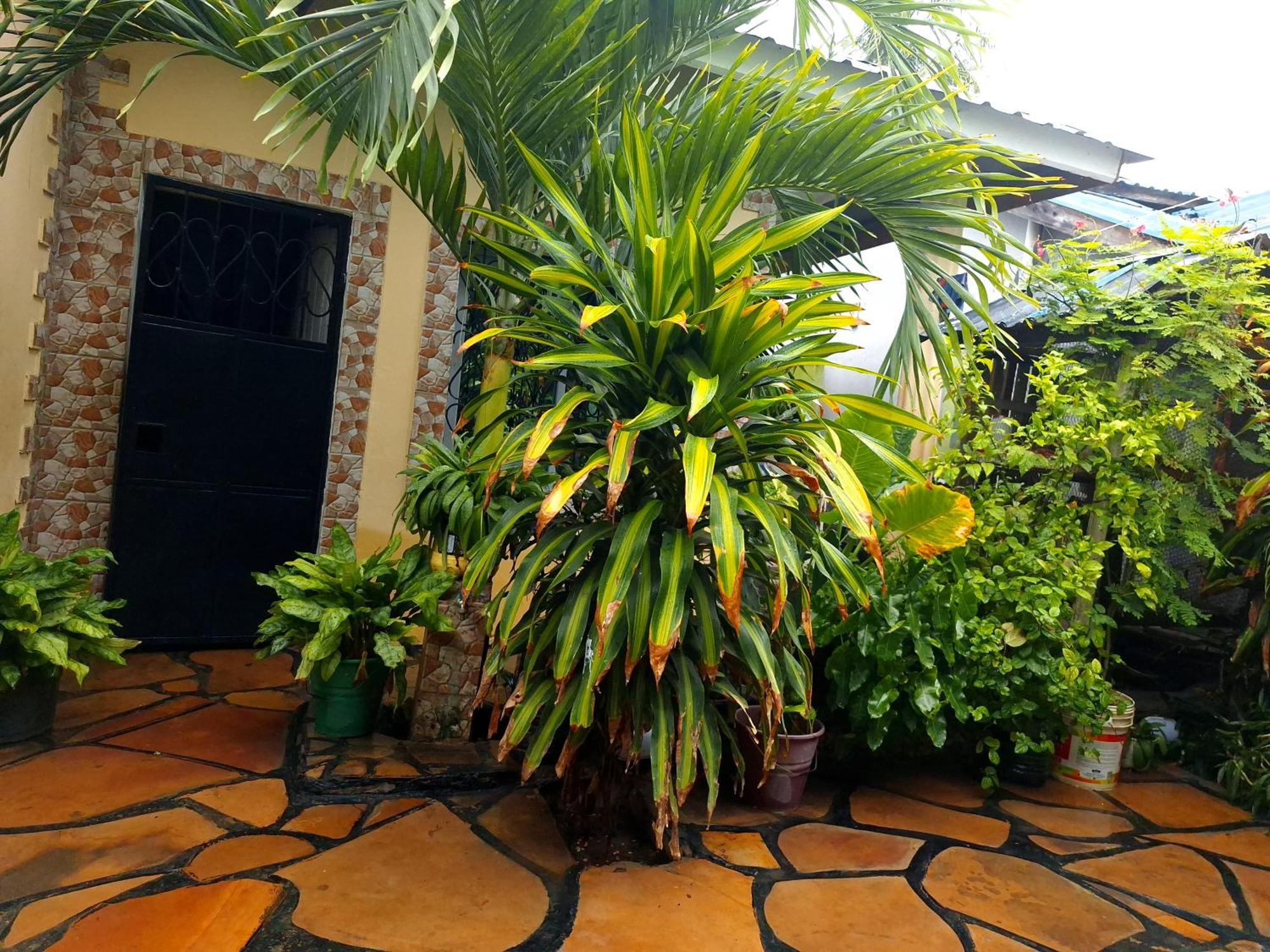 Mount Zion Guest House, Mtwapa Mtomondoni Mombasa Bagian luar foto